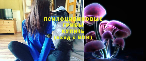 не бодяженный Гвардейск