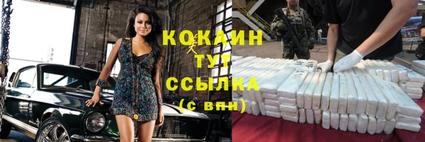 spice Няндома