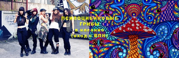 тгк Зеленокумск