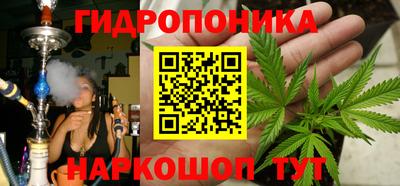 скорость Кандалакша
