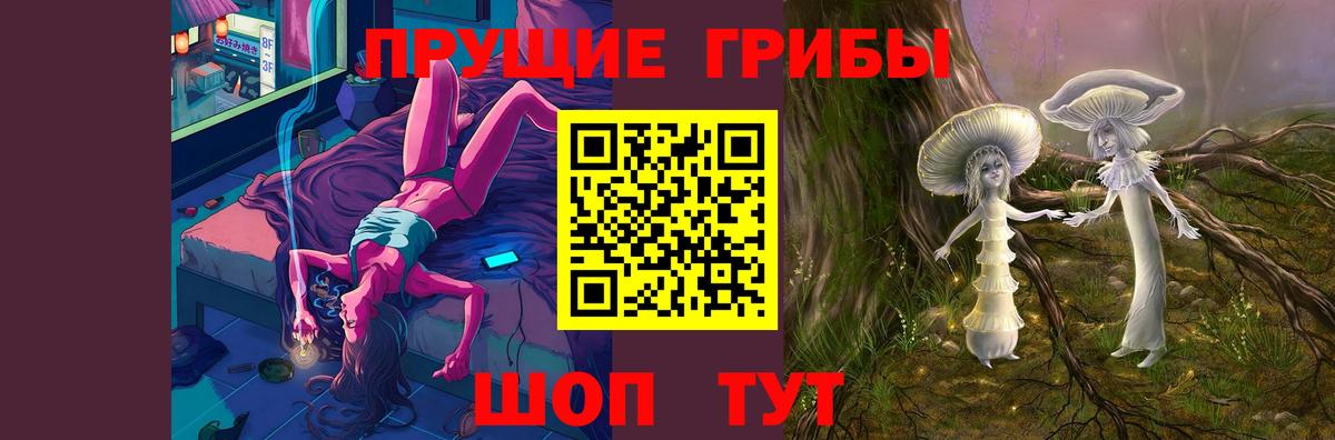 что такое   Галлюциногенные грибы Psilocybe  Омск  Вход с VPN  Галлюциногенные грибы прущие грибы 