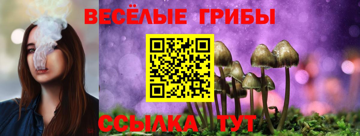 Псилоцибиновые грибы MAGIC MUSHROOMS Омск